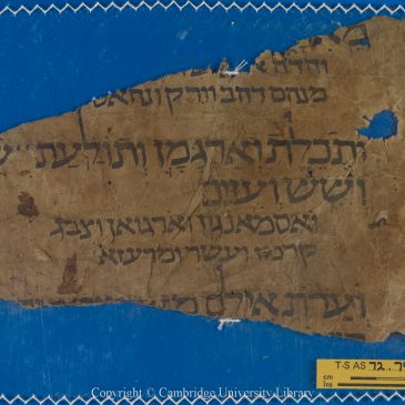 Early Genizah Fragments of Saadya Gaon’s Translation of the Pentateuch  in the Russian National Library in St. Petersburg