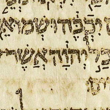 Judaeo-Arabic Bible Translation and the Tiberian Masoretic Tradition