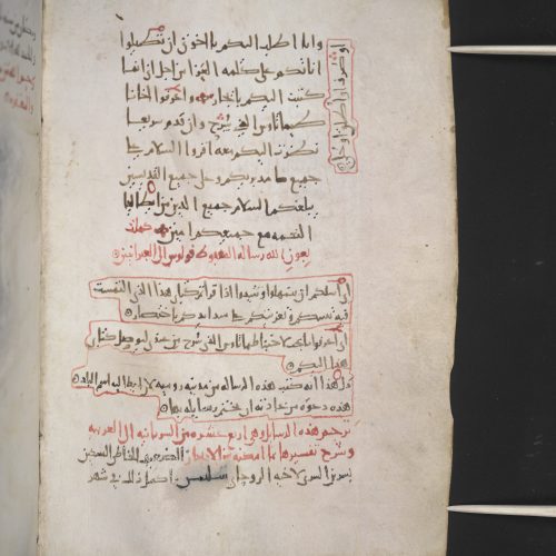 Lost in the Margins: Reference Marks in MS Sinai, Arabic 151