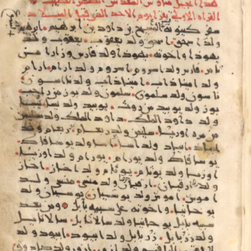 The Linguistic Nature of the Arabic Gospel Manuscripts: The <i>Status Quaestionis</i>
